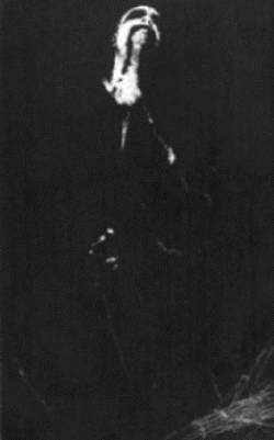 Megalith Grave : Black Enmity